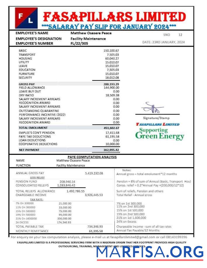 Realistic Nigeria Fasapillars Limited corporate office payslip example